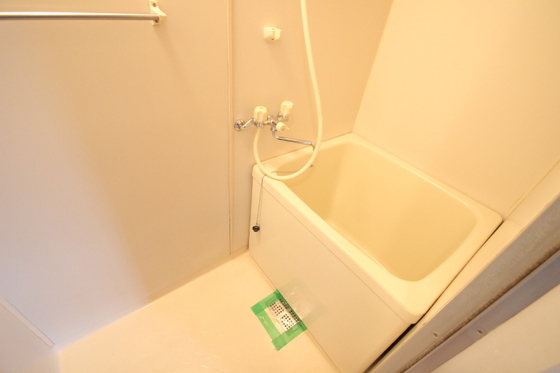 チェリータケタ