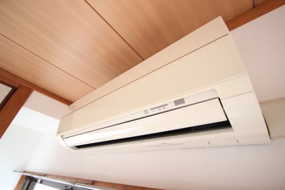 チェリータケタ