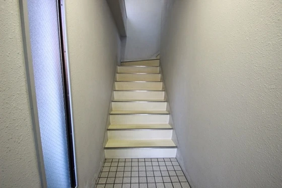 チェリータケタ