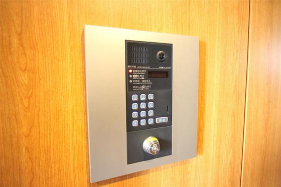 Wisteria(ウィステリア)