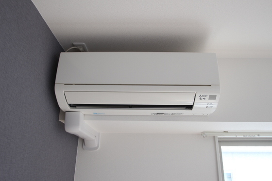 Wisteria(ウィステリア)