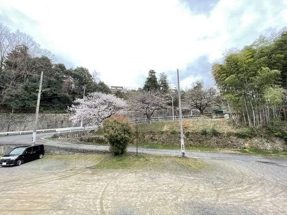 シャーメゾン笹村