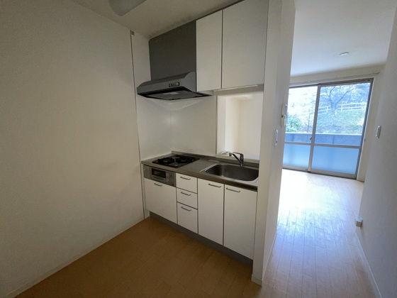 シャーメゾン笹村