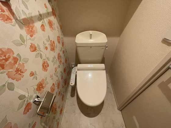 メルヴェーユⅡ