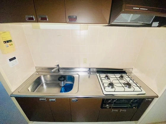 ライオンズマンション柳橋公園