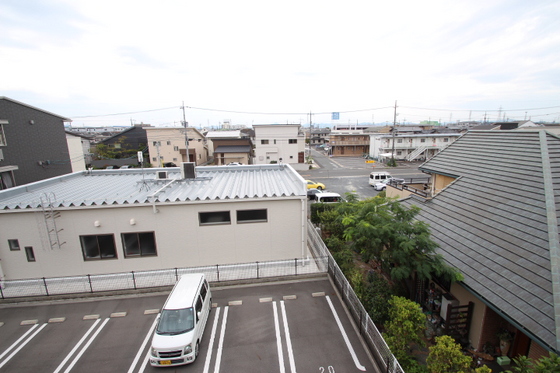 ブランドール マサ