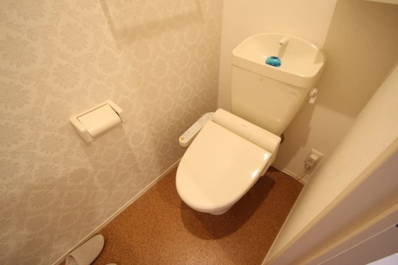 ブランドール マサ