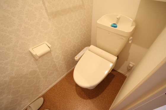 ブランドール マサ