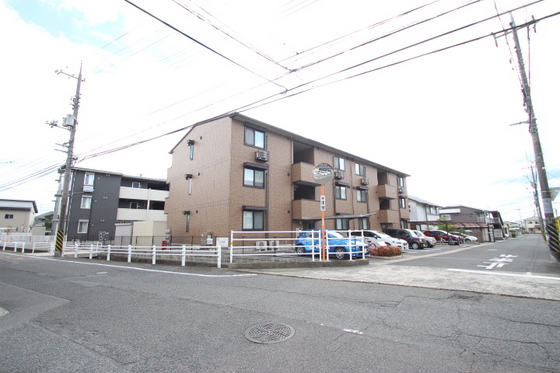 ブランドール マサ