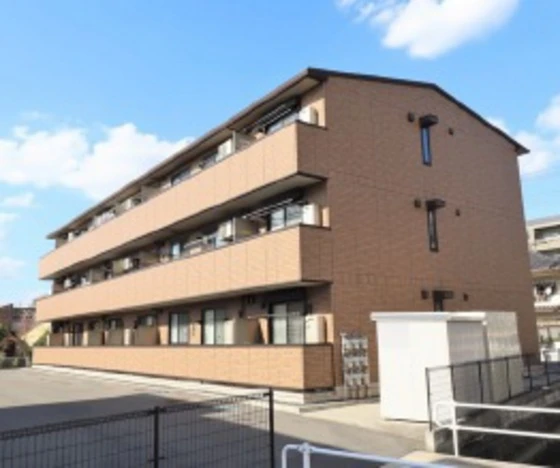 ブランドール マサ