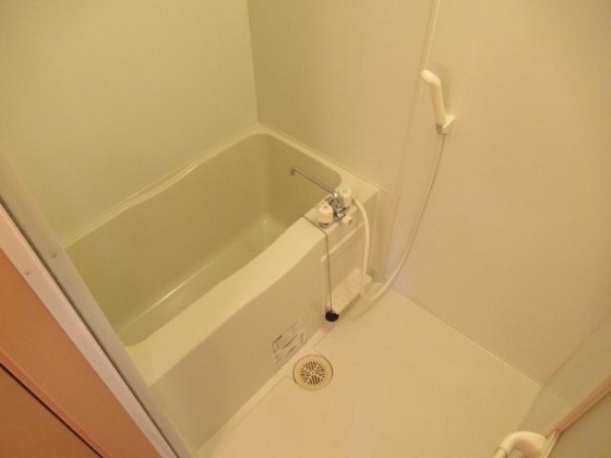 ラヴィアンローズ