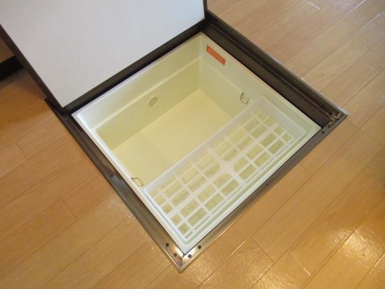 ラヴィアンローズ