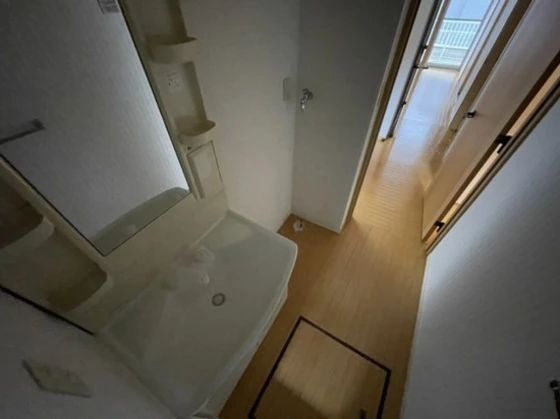 フォーシーズンズ夏