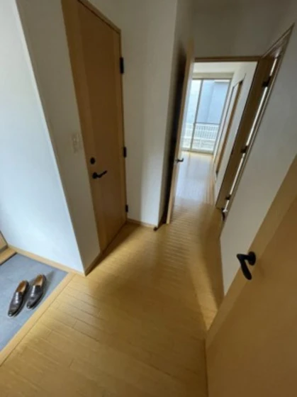 フォーシーズンズ夏