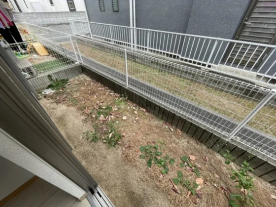 フォーシーズンズ夏