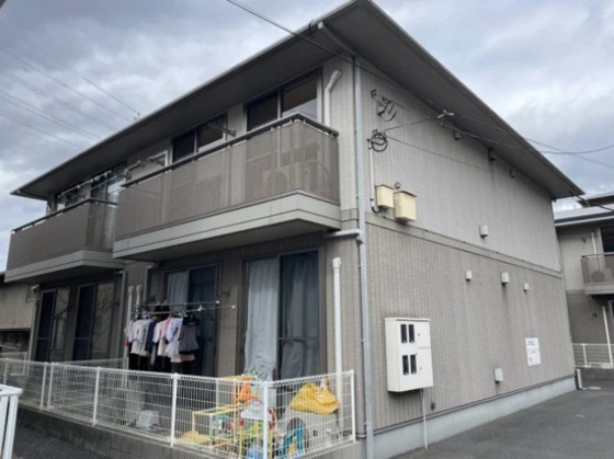 フォーシーズンズ夏