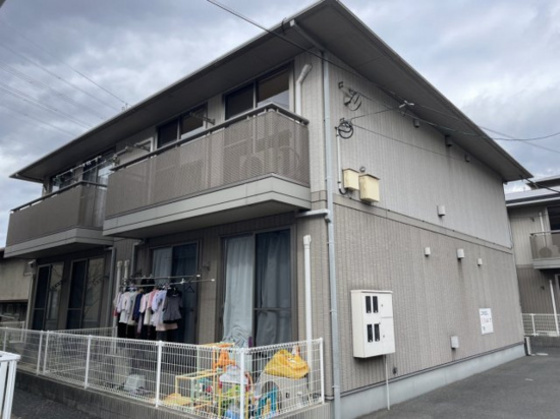 フォーシーズンズ夏