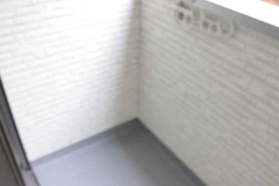 Regalest L'Arc UJINA-MIYUKI Ⅱ