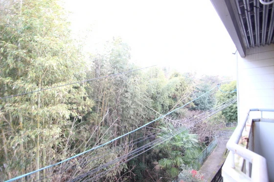 パレーシャル牛田