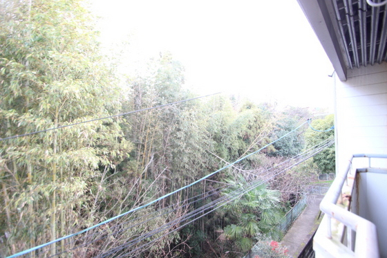 パレーシャル牛田