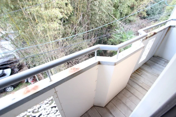 パレーシャル牛田