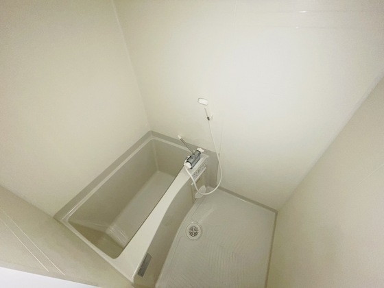 フォレストシティⅢ