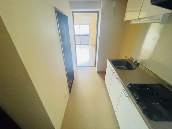 フォレストシティⅢ