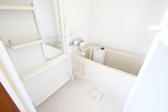 パラツェット翠