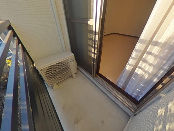 レオネクストミドリソウ