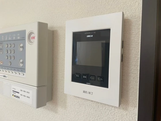 レオネクストミドリソウ