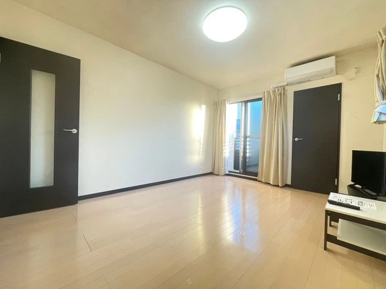 レオネクストミドリソウ