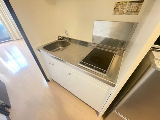 レオネクストミドリソウ