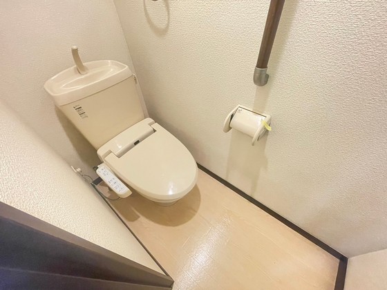 レオネクストミドリソウ