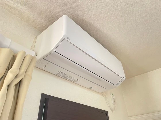 レオネクストミドリソウ