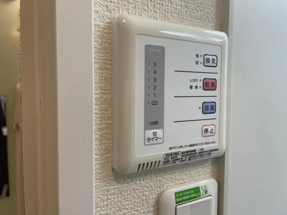 レオネクストミドリソウ