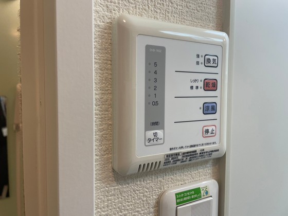 レオネクストミドリソウ