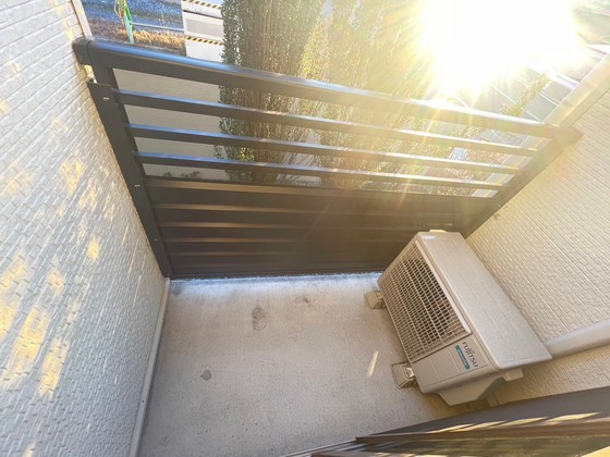 レオネクストミドリソウ