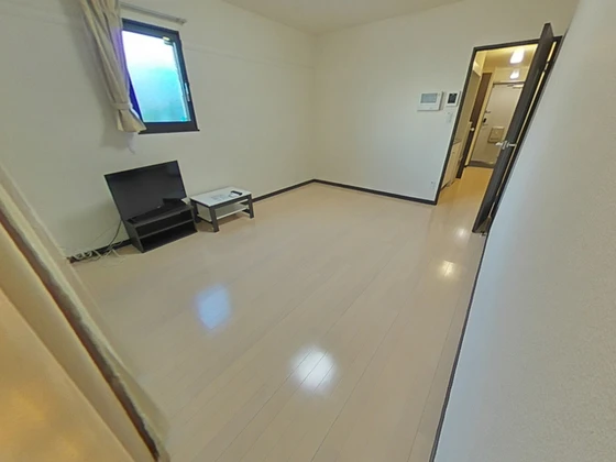 レオネクストミドリソウ