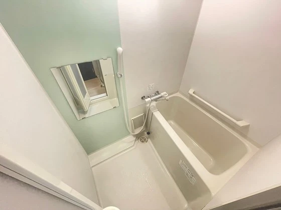 レオネクストミドリソウ