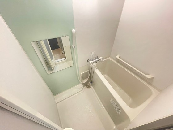 レオネクストミドリソウ