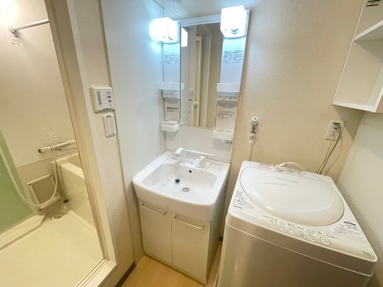 レオネクストミドリソウ