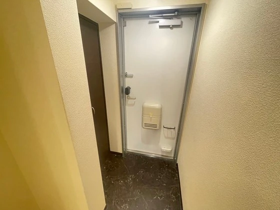 レオネクストミドリソウ