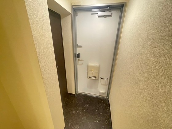 レオネクストミドリソウ