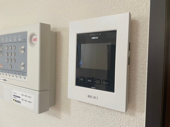 レオネクストミドリソウ