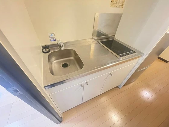 レオネクストミドリソウ