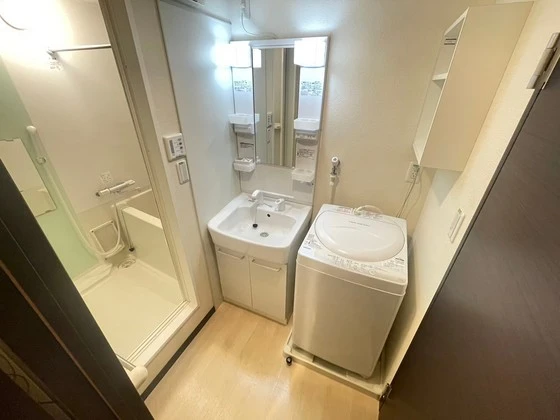 レオネクストミドリソウ