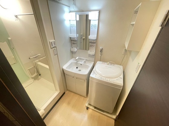 レオネクストミドリソウ