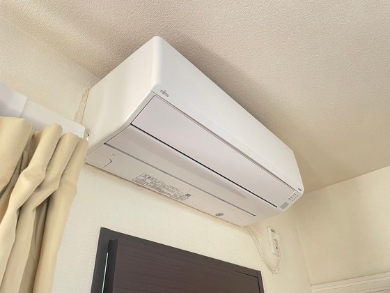 レオネクストミドリソウ