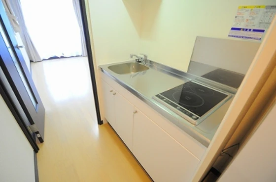 レオネクストサリエール