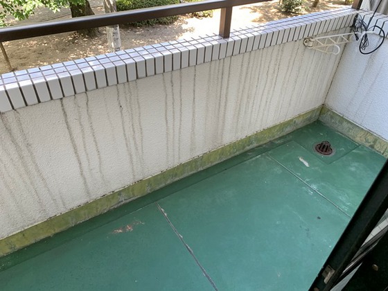 カーサ・アレイ